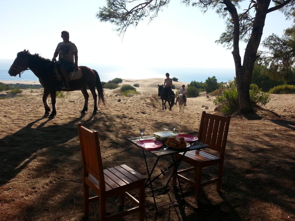 Patara Ranch Hotel Luaran gambar